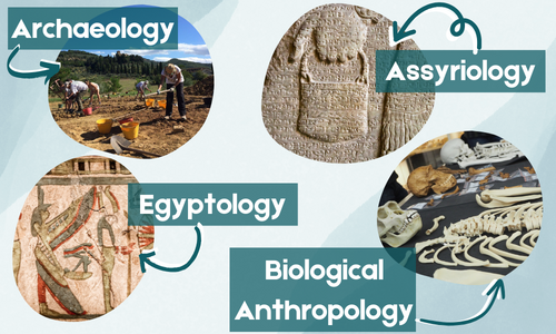 Archaeology, Assyriology, Egyptology and Biological Anthropology